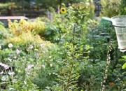 اختراع باران‌سنج: ابتکاری از دل نیازهای کشاورزی