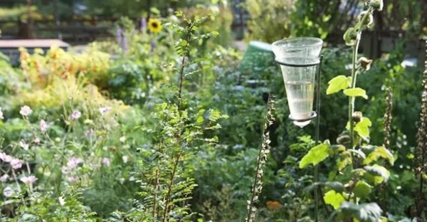 اختراع باران‌سنج: ابتکاری از دل نیازهای کشاورزی