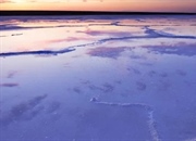 چرا دریای آرال در حال کوچک شدن است؟ فاجعه‌ای زیست‌محیطی و انسانی