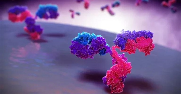 گلیکوپروتئین چیست؟ + نقش حیاتی آن‌ها در بدن