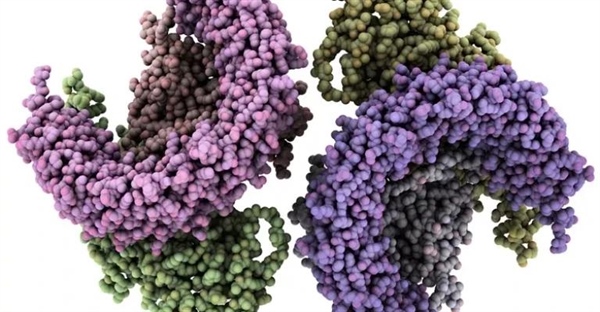 هیدرولیز چیست؟ تعریف، فرمول و مثال های کاربردی