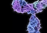 آنتی‌بادی‌ها: سربازان نامرئی بدن شما | سیستم ایمنی، ساختار و عملکرد