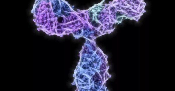 آنتی‌بادی‌ها: سربازان نامرئی بدن شما | سیستم ایمنی، ساختار و عملکرد