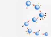 واکنش ابتدایی چیست؟ تعریفی جامع + مثال‌ها