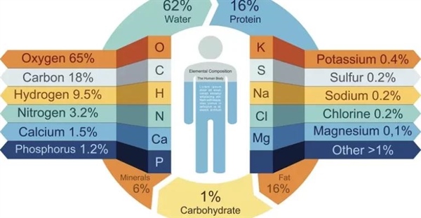 ترکیب شیمیایی بدن انسان: از اکسیژن تا عناصر کمیاب
