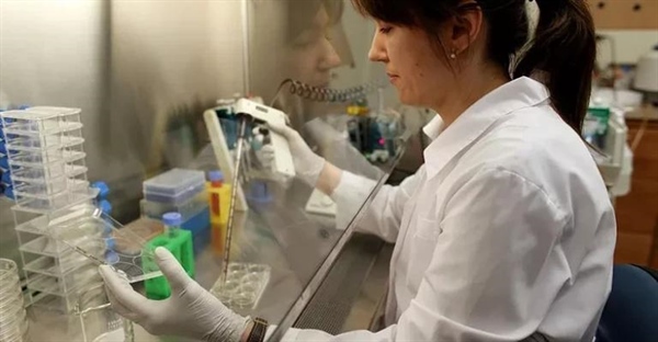 هیدرولیز: کلید فهم واکنش‌های شیمیایی و نقش آن در زیست‌شناسی