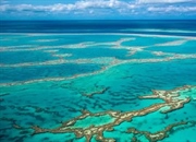 بزرگترین صخره‌های مرجانی جهان کجاست؟