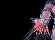 آناتومی بدن انسان: راهنمای جامع ساختار و عملکرد اندام‌ها