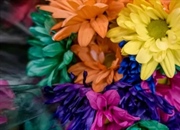 آموزش ساخت گل‌های رنگی در خانه (به آسانی!)