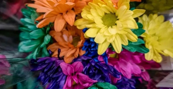 آموزش ساخت گل‌های رنگی در خانه (به آسانی!)