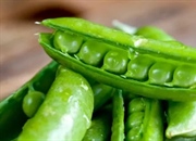 هتروزیگوت چیست؟ تعریف ژنتیکی، انواع وراثت و جهش ها