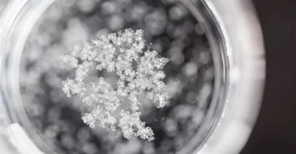 آموزش ساخت محلول اشباع: ساده، سریع و کاربردی