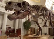 آیا شبیه‌سازی دایناسورها امکان‌پذیر است؟