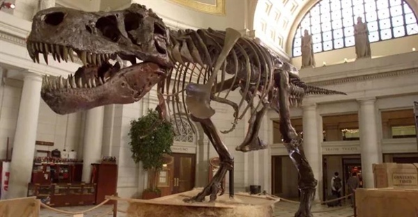 آیا شبیه‌سازی دایناسورها امکان‌پذیر است؟