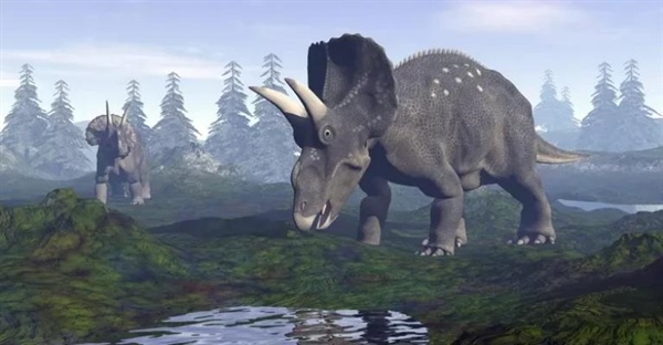 دایسراتوپس: حقایق شگفت‌انگیز و ارقام کلیدی دایناسور دو شاخ