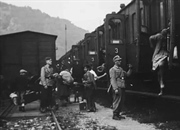 اصلاح نژاد: رویای برتری یا کابوس تبعیض ژنتیکی؟