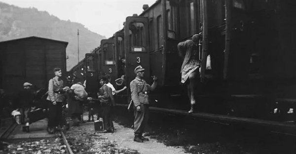 اصلاح نژاد: رویای برتری یا کابوس تبعیض ژنتیکی؟