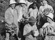 جمهوری موز چیست؟ تعریف، تاریخچه و نمونه‌های واقعی