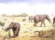 فیل‌های ماقبل تاریخ: غول‌های فراموش‌شده عصر سنوزوئیک