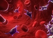 پلاکت‌ها: نگهبانان خون شما | وظایف، شمارش و اختلالات