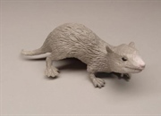 کیسه‌داران ماقبل تاریخ: پستانداران منقرض‌شده استرالیا و آمریکای جنوبی