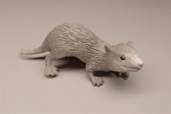 کیسه‌داران ماقبل تاریخ: پستانداران منقرض‌شده استرالیا و آمریکای جنوبی