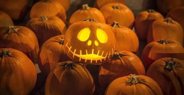 11 حقیقت شگفت‌انگیز درباره هالووین: از آمار مصرف تا ریشه‌های جامعه‌شناختی