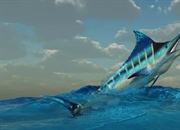 حقایق خواندنی درباره مارلین آبی: غول اقیانوس‌ها