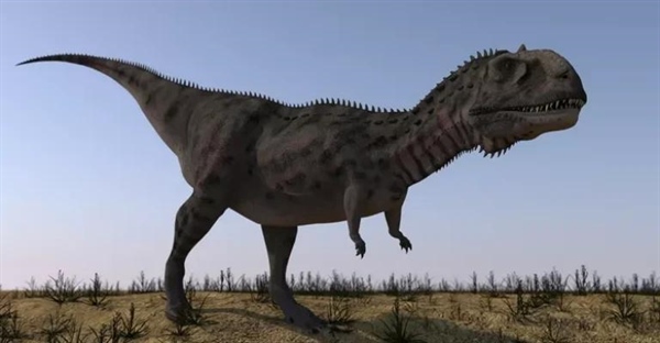 آیا دایناسورها هم‌نوع‌خوار بودند؟ رازهای پنهان دنیای درندگان ماقبل تاریخ