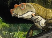 اولین خزندگان: سفری به اعماق تاریخ تکامل خزندگان