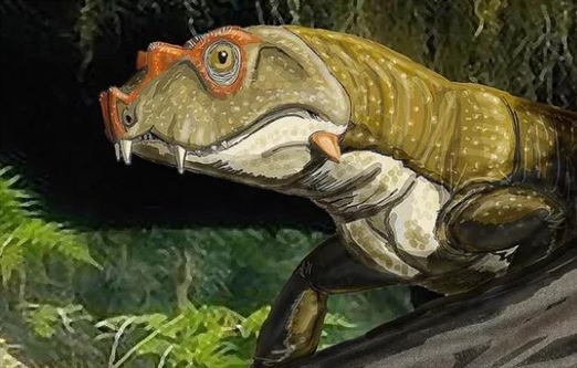 اولین خزندگان: سفری به اعماق تاریخ تکامل خزندگان