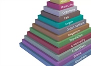 هرم حیات: سفری شگفت‌انگیز در سلسله مراتب زندگی از زیست‌کره تا اتم