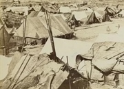 شورش تایپینگ: خونین‌ترین قیام قرن نوزدهم چین