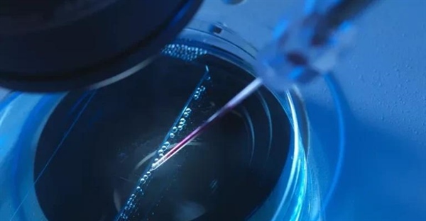 میکرواینجکشن DNA: انقلابی در انتقال ژن و تولید موجودات تراریخته