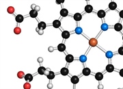 کوآنزیم چیست؟ تعریف، عملکرد و مثال‌های کلیدی