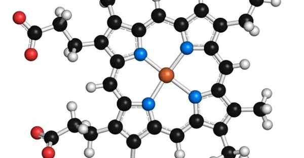 کوآنزیم چیست؟ تعریف، عملکرد و مثال‌های کلیدی