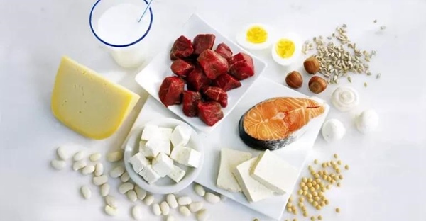 آزمایش وجود پروتئین در مواد غذایی: راهنمای گام به گام