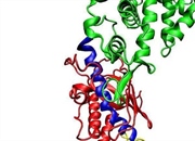 siRNA چیست و چگونه عمل می‌کند؟