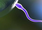 گامت: سلول‌های جنسی و نقش آن‌ها در تولید مثل