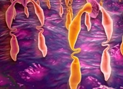 لیگاند چیست؟ تعریف، انواع و کاربردها در شیمی