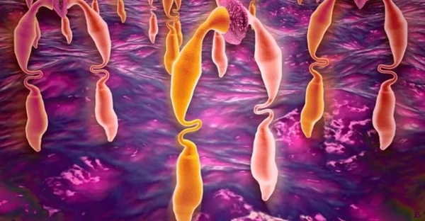 لیگاند چیست؟ تعریف، انواع و کاربردها در شیمی