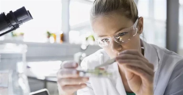 فرضیه، مدل، نظریه و قانون علمی: تفاوت‌ها و کاربردها