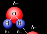 اصل طرد پاولی