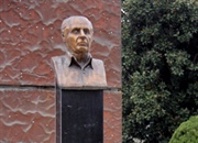 پروفسور اکبرزاده