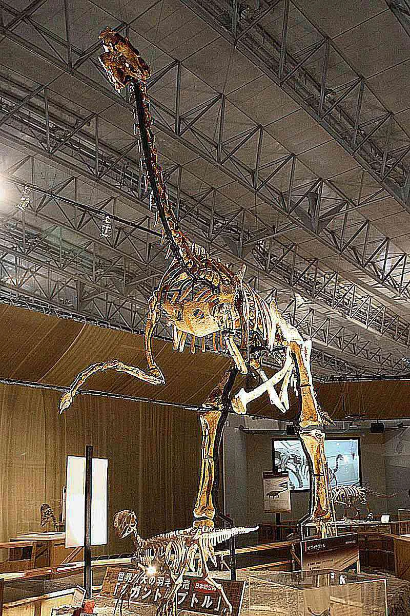 تصویری از گیگانتوراپتور