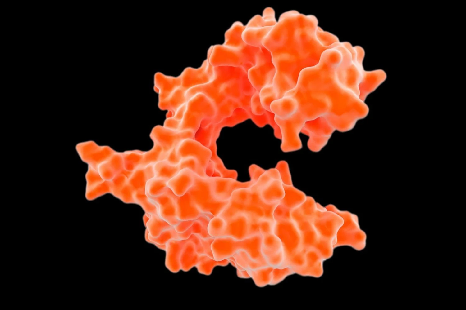 مولکول DNA پلیمراز