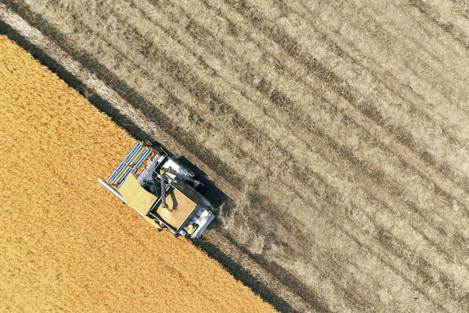 درو کردن با کمباین