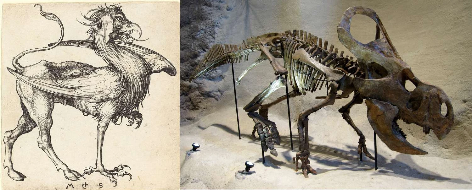 گریفین و ��روتوسراتوپس