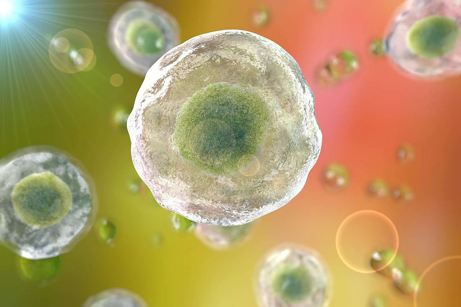 تنفس سلولی هوازی و بی هوازی