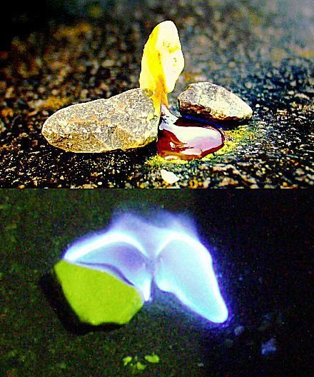 گوگرد عنصری از جامد زرد به مایع سرخ خونین ذوب می‌شود. با شعله آبی می‌سوزد.